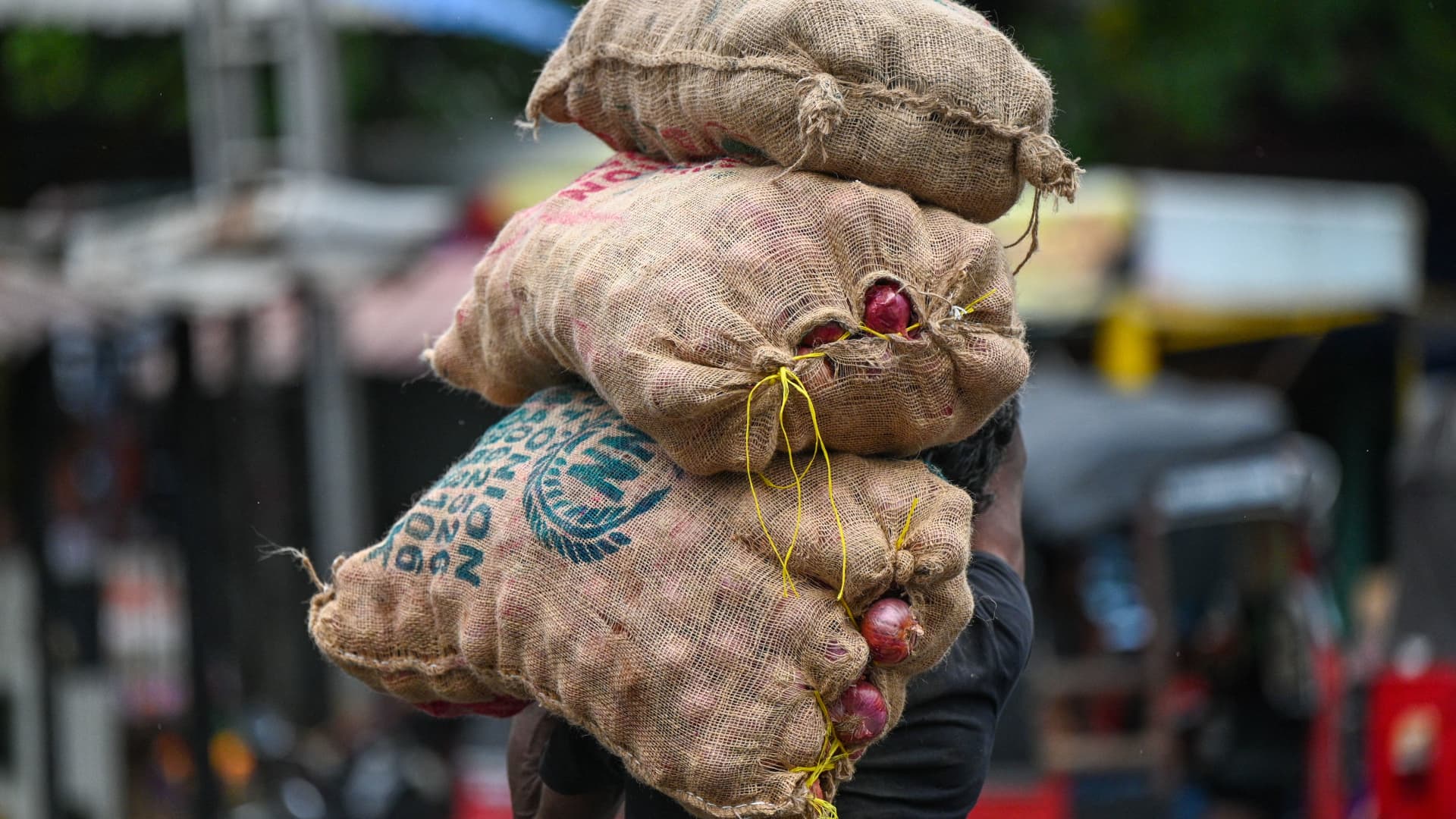Sri Lanka's central bank says more rate cuts are needed for economy to 'bounce back'